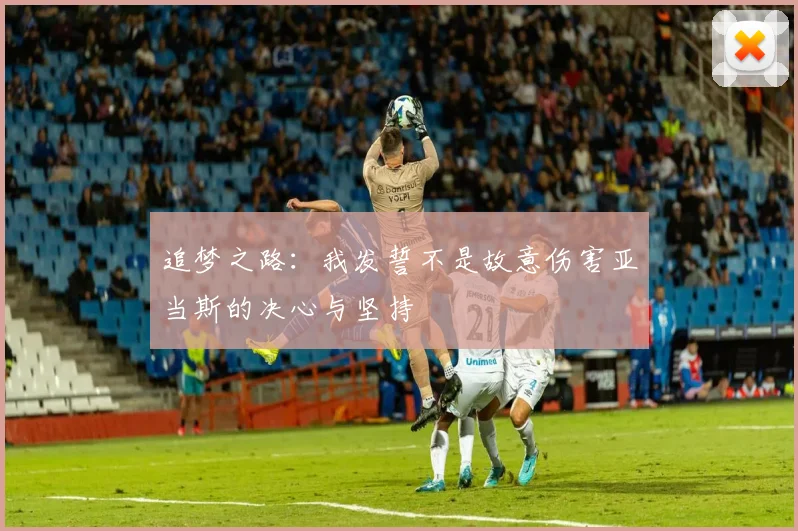 追梦之路：我发誓不是故意伤害亚当斯的决心与坚持