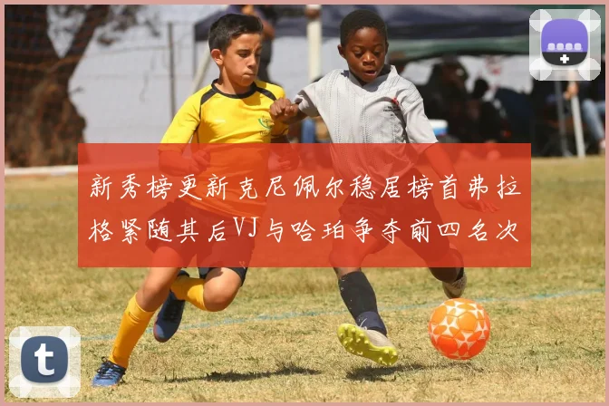 新秀榜更新克尼佩尔稳居榜首弗拉格紧随其后VJ与哈珀争夺前四名次