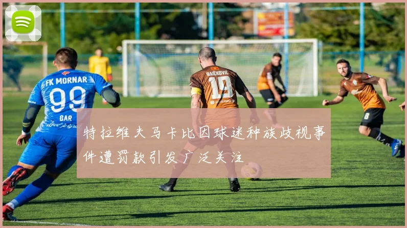 特拉维夫马卡比因球迷种族歧视事件遭罚款引发广泛关注