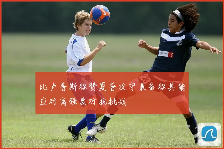 比卢普斯称赞夏普攻守兼备称其能应对高强度对抗挑战