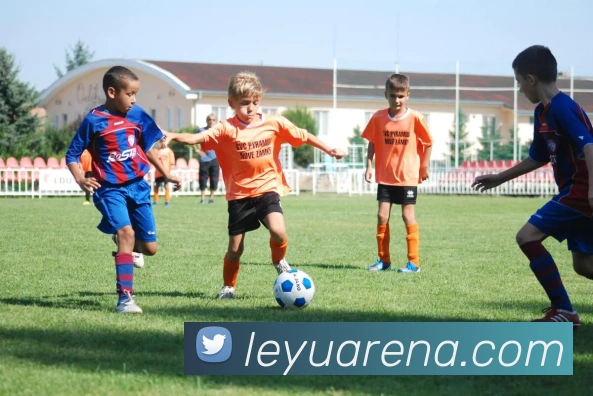 多媒体互动体验