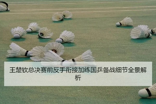 王楚钦总决赛前反手衔接加练国乒备战细节全景解析(Leyu)